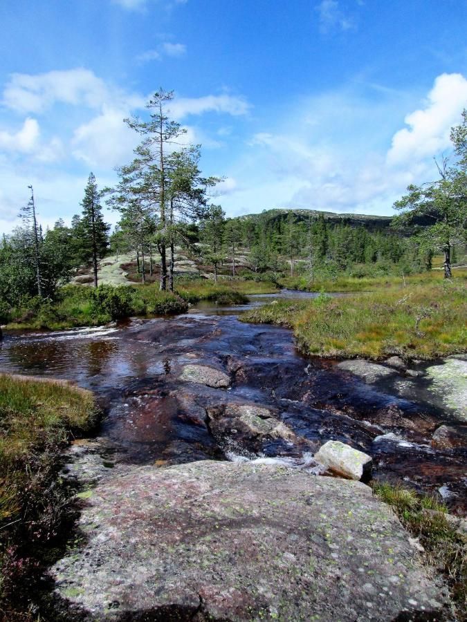 Fyresdalsvegen 640 Villa Exteriör bild